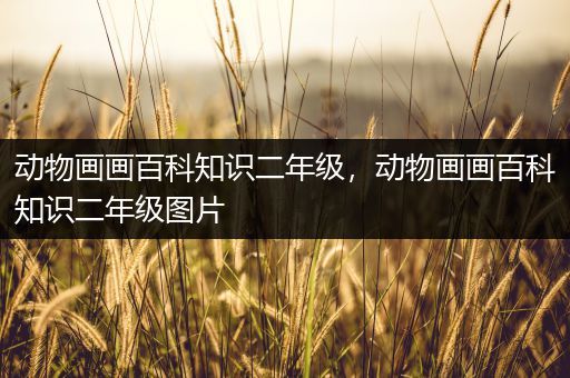 动物画画百科知识二年级，动物画画百科知识二年级图片