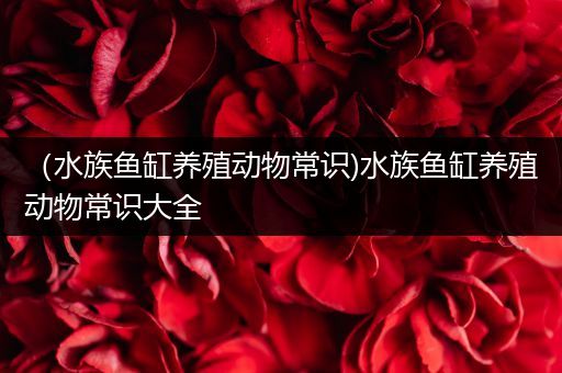 （水族鱼缸养殖动物常识)水族鱼缸养殖动物常识大全