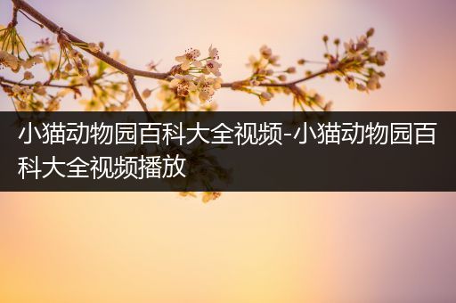 小猫动物园百科大全视频-小猫动物园百科大全视频播放