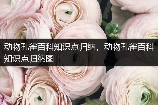 动物孔雀百科知识点归纳，动物孔雀百科知识点归纳图