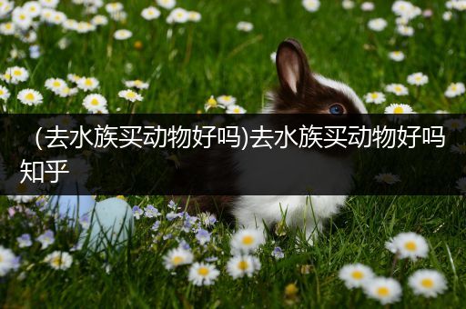 （去水族买动物好吗)去水族买动物好吗知乎