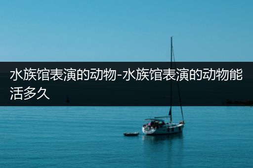 水族馆表演的动物-水族馆表演的动物能活多久