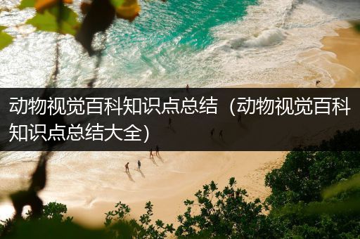 动物视觉百科知识点总结（动物视觉百科知识点总结大全）