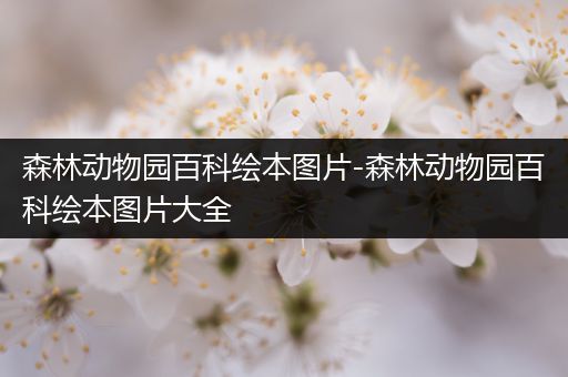 森林动物园百科绘本图片-森林动物园百科绘本图片大全