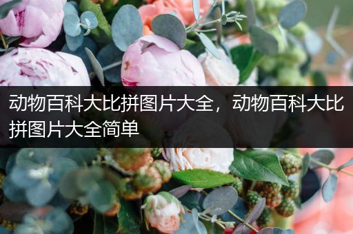 动物百科大比拼图片大全，动物百科大比拼图片大全简单