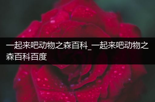 一起来吧动物之森百科_一起来吧动物之森百科百度