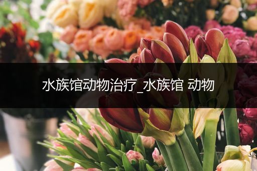 水族馆动物治疗_水族馆 动物