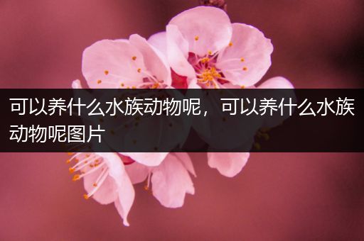 可以养什么水族动物呢，可以养什么水族动物呢图片