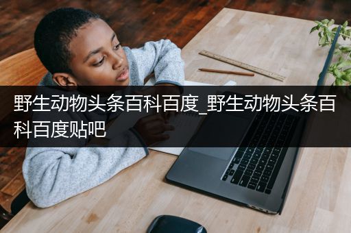 野生动物头条百科百度_野生动物头条百科百度贴吧