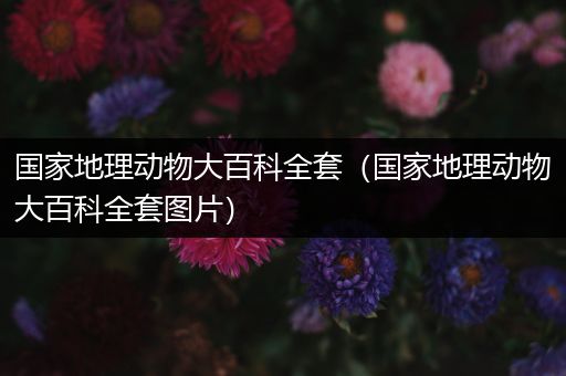 国家地理动物大百科全套（国家地理动物大百科全套图片）