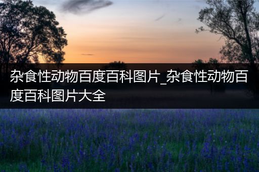 杂食性动物百度百科图片_杂食性动物百度百科图片大全