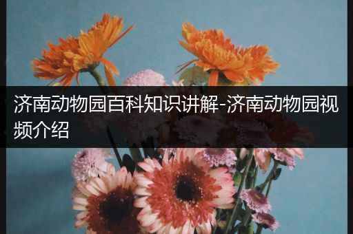 济南动物园百科知识讲解-济南动物园视频介绍