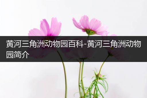 黄河三角洲动物园百科-黄河三角洲动物园简介