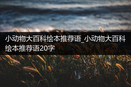 小动物大百科绘本推荐语_小动物大百科绘本推荐语20字
