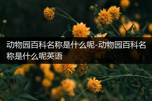 动物园百科名称是什么呢-动物园百科名称是什么呢英语