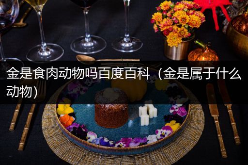 金是食肉动物吗百度百科（金是属于什么动物）