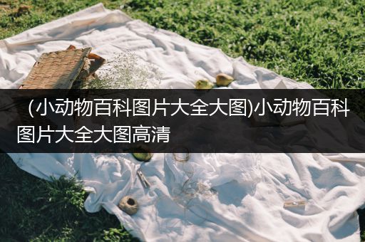 （小动物百科图片大全大图)小动物百科图片大全大图高清