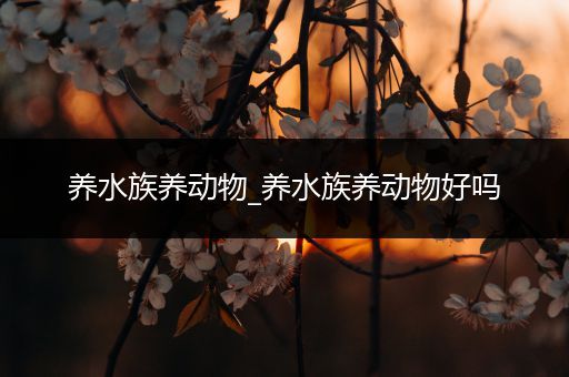 养水族养动物_养水族养动物好吗