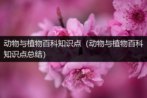 动物与植物百科知识点（动物与植物百科知识点总结）