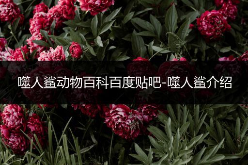 噬人鲨动物百科百度贴吧-噬人鲨介绍