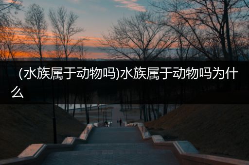 （水族属于动物吗)水族属于动物吗为什么