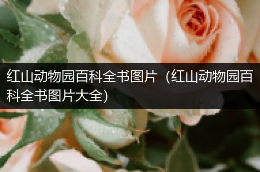 红山动物园百科全书图片（红山动物园百科全书图片大全）