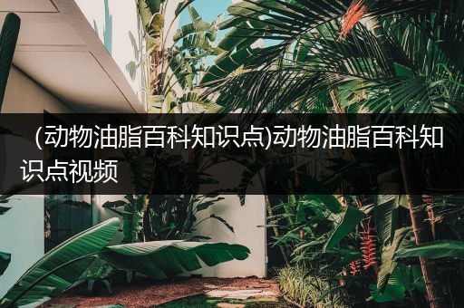 （动物油脂百科知识点)动物油脂百科知识点视频