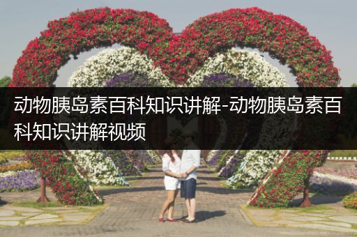 动物胰岛素百科知识讲解-动物胰岛素百科知识讲解视频