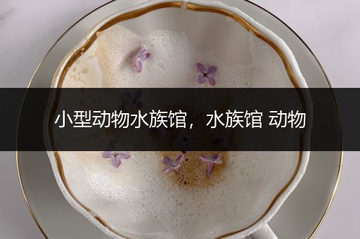 小型动物水族馆，水族馆 动物