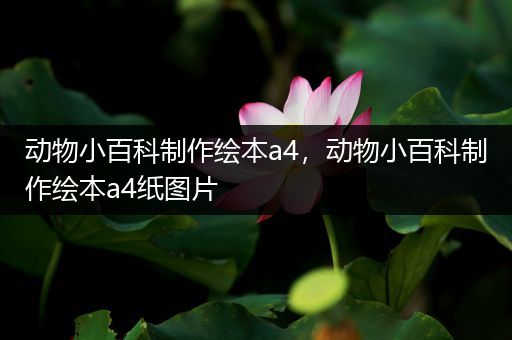 动物小百科制作绘本a4，动物小百科制作绘本a4纸图片