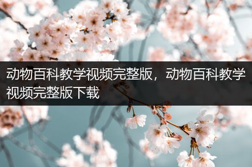 动物百科教学视频完整版，动物百科教学视频完整版下载