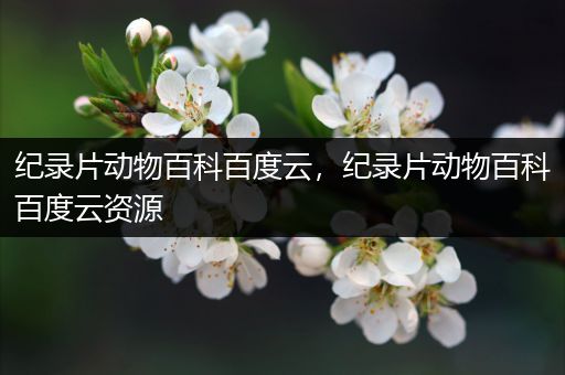 纪录片动物百科百度云，纪录片动物百科百度云资源