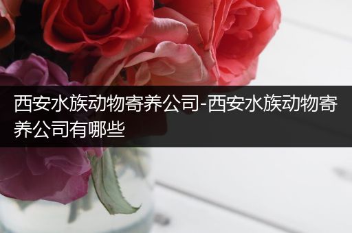 西安水族动物寄养公司-西安水族动物寄养公司有哪些