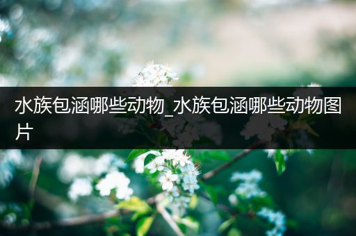 水族包涵哪些动物_水族包涵哪些动物图片