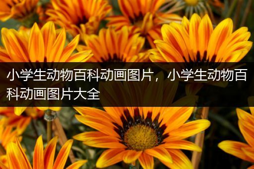 小学生动物百科动画图片，小学生动物百科动画图片大全