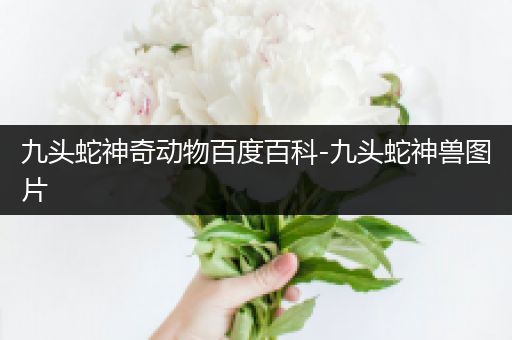 九头蛇神奇动物百度百科-九头蛇神兽图片