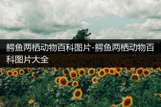 鳄鱼两栖动物百科图片-鳄鱼两栖动物百科图片大全