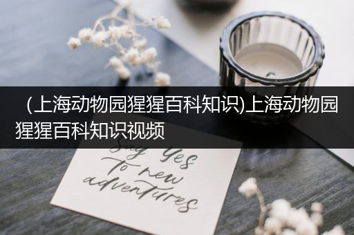 （上海动物园猩猩百科知识)上海动物园猩猩百科知识视频