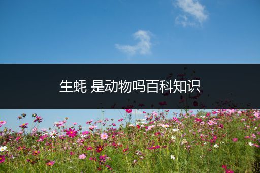 生蚝 是动物吗百科知识