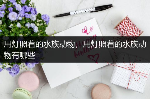 用灯照着的水族动物，用灯照着的水族动物有哪些