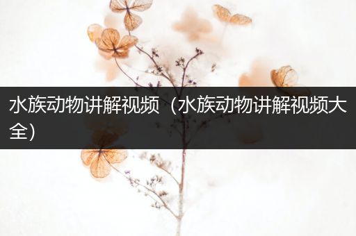 水族动物讲解视频（水族动物讲解视频大全）