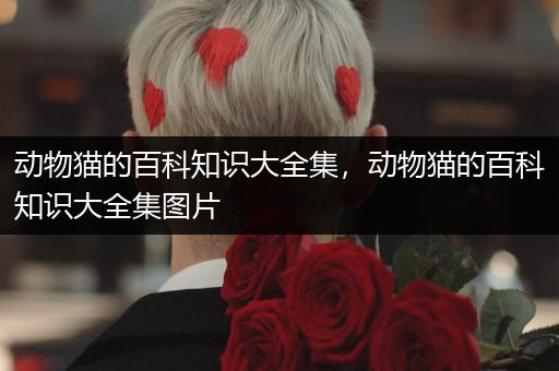 动物猫的百科知识大全集，动物猫的百科知识大全集图片