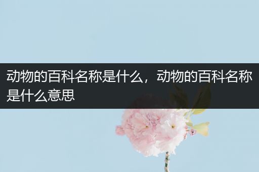 动物的百科名称是什么，动物的百科名称是什么意思