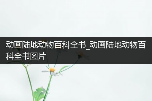 动画陆地动物百科全书_动画陆地动物百科全书图片