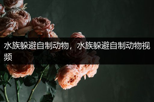 水族躲避自制动物，水族躲避自制动物视频