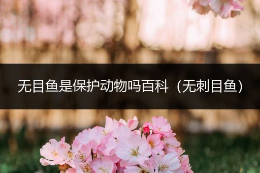 无目鱼是保护动物吗百科（无刺目鱼）