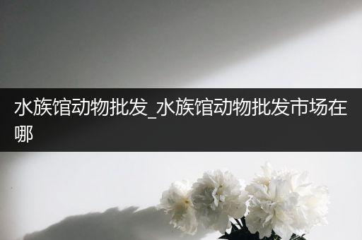 水族馆动物批发_水族馆动物批发市场在哪