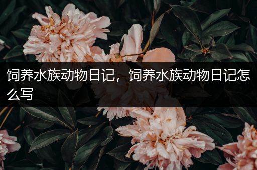 饲养水族动物日记，饲养水族动物日记怎么写