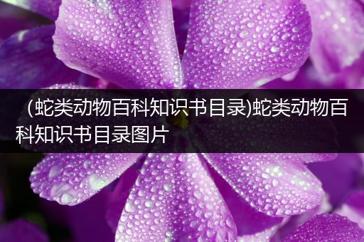 （蛇类动物百科知识书目录)蛇类动物百科知识书目录图片