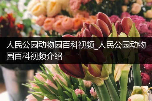 人民公园动物园百科视频_人民公园动物园百科视频介绍